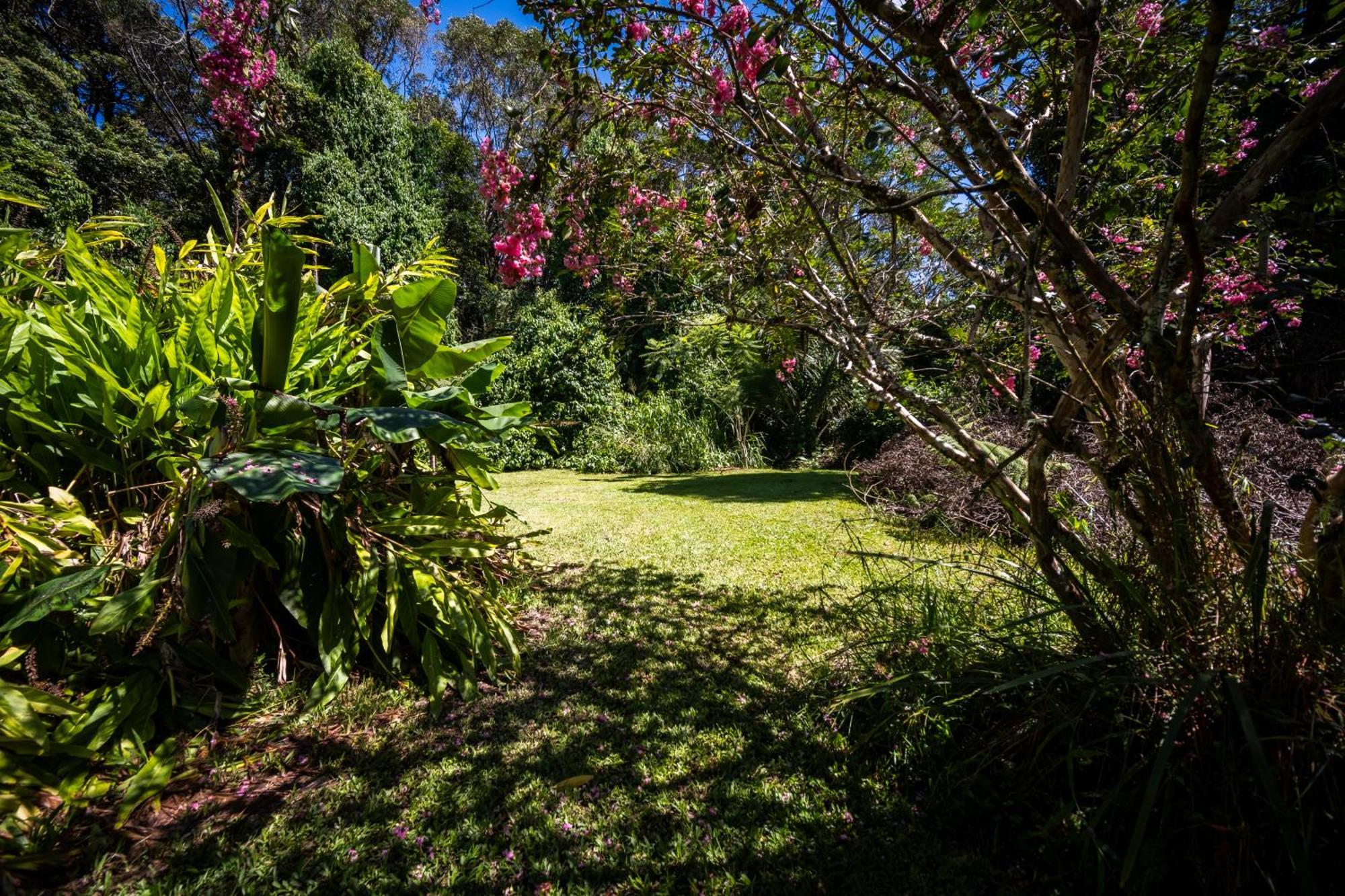 Tranquil Rainforest Studio Kuranda Apartment Exterior photo